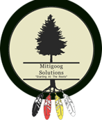 mitigoog-solutions