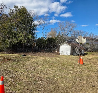 Open grassy lot with a small white shed, orange traffic cones, and leafless trees under a blue sky.
